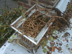 Let There Be Light Chimney Sweep Photos